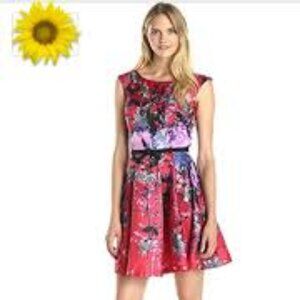 Gabby Skye Red and Blue floral fit and flare dress
